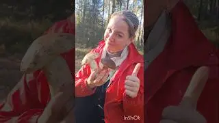 БЕЛЫЙ ГРИБ дорогами, ГРИБНОЙ СЕЗОН продолжается #shorts