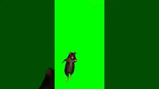 MEME DO RATO 🐀#RATO