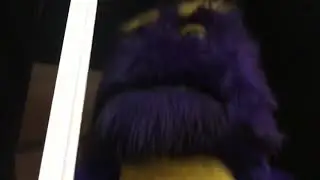 Up Close With The Rocker Stage - Chuck E. Cheese&rsquo;s Rockford, Illinois