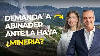 Demanda A Luis Abinader ante La Haya.