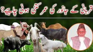 Qurbani Kay Janwar Ki Umar Kitni Honi Chahiye? | Maulana Ishaq Ra