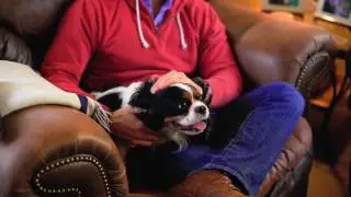 Staging Tips:  Showing your home with pets