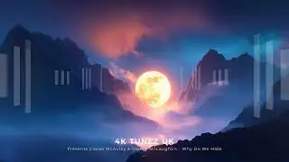 Ciaran McAuley & Deidre McLaughlin - Why Do We Hide (2025) (4K Tunez UK)