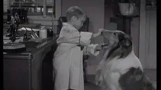 Lassie - Episode 106 - 