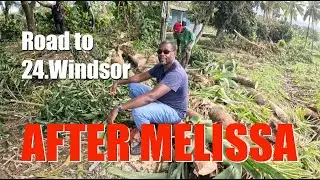 Melissa Aftermath - Our Road to Windsor Portland