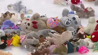 Bjork Scores Teddy Bear Toss Tally