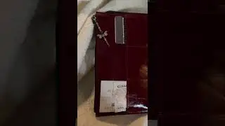 breaking in my louise carmen #journaling #louisecarmen