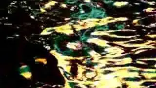 Lights on the Water