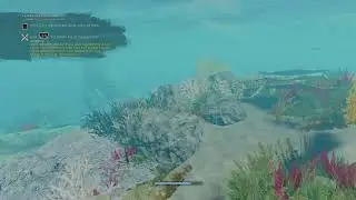 New raft live