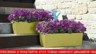 Обзор Настольное кашпо с автополивом Balconera Color | HOFF