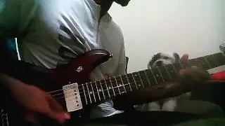 Dogfunk