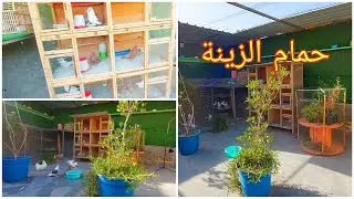 تصوير الحمام وطيور الزينة