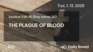 THE PLAGUE OF BLOOD, Exo 7:14~25, 01/13/2026 / UBF Daily Bread #UBF