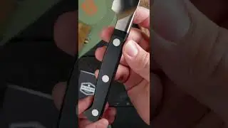 The Only 3 Kitchen Knives You'll Ever Need