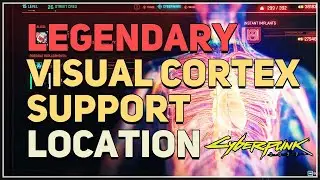 Legendary Visual Cortex Support Location Cyberpunk 2077
