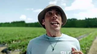 Toi Time | Buzz's Adventures | Picking Berries