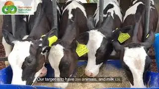Visit to the Gaza Dairy Farm