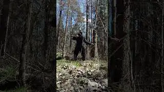 Северный ниндзя: Три Грозы Небесных Штормов (07.04.2025) 北の忍者: 天の嵐を伴う3つの雷雨 #NordicNinja #NinjaChucks