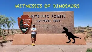 Petrified Forest National Park. Лес, которому более 200 млн лет.