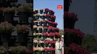 palash flower show Dwarka #shorts #flowershow #viralnews #trendingshorts