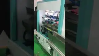 Peanut Vacuum Packing Machine in Operation Automatic Peanut Vacuum Packer | goldenmachineries.com