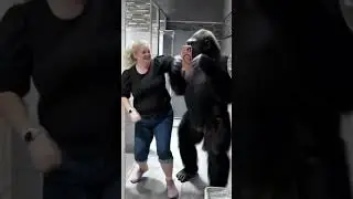 Such fun with Mr Gorilla! Lol #gorilla #gorillafight #ai #ithinkiwon