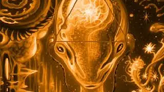 Dj-Pshylor,Dj's-FreeRec181020 Tri Ment(Acid Mental Tribe(Set-Remix)