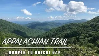 BEARS ON TRAIL - Appalachian Trail - Hogpen to Unicoi Gap