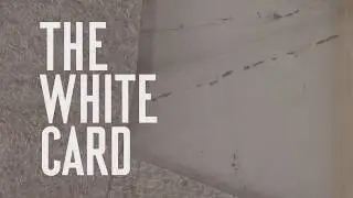 Playwright Claudia Rankine discuss her new play The White Card