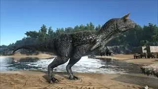 Live ARK survical evolved #2 on s'&eacute;tablie inpeu