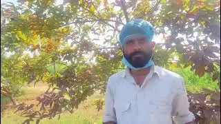 Aseptic Processing on Farm Gate