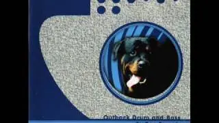 DAMC - UW8 [Outback Drum & Bass CD] : Big Dog Records : Adelaide : 1997