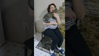 Кошки чувствуют кошатников. #приюткарипиди #помощьбездомным #собака
