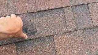 Hail Damage Inspection | Colorado Springs Hailstorm