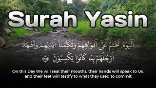 Tranquil Recitation of Surah Yasin | Calm Sleep and Reflection