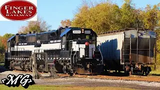 Lightning Stripe Geeps on the Auburn Road