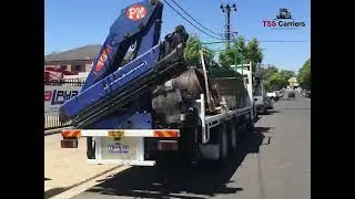 Hiab Truck and Crane Truck Services in sydney l Australia l TSS Carrier