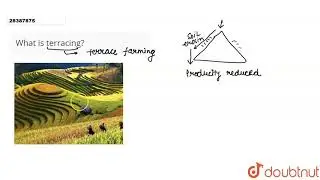 What is terracing?