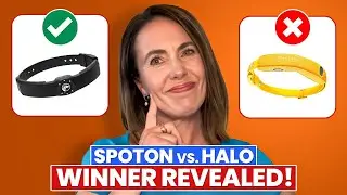 SpotOn против Halo: какой GPS-ошейник для собак на самом деле точнее?