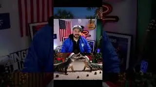 ВОСКРЕСЕНЬЕ ТЕПЕРЬ ТУДА! Чинго Блинг и его друзья в Sidesplitters в Тампе‼️📍