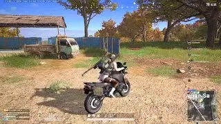 Tiny terry flew