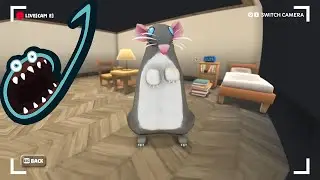 Jerma Streams - Squeakross: Home Squeak Home
