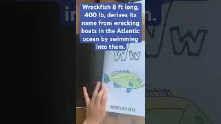 Fish Alphabet Coloring Book. W for Wreckfish.