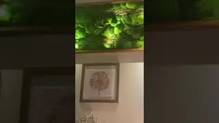 Company interiors bun moss wall
