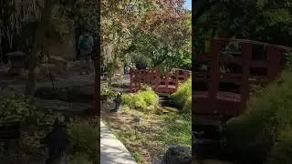 miami beach botanical garden #virtualtour