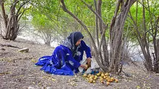 Life of Nomadic Migration of a Homeless Family Building a Summer Shelter in the Wild Nature of Iran