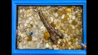 Eternal Koi  3D Resin Art  Making the pond  Part 1