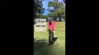Secret technique for into the grain chipping