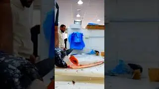 cutting norway salmonfish 👆@Noufal-sp7k m