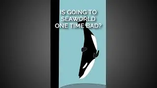 Is Going to SeaWorld One Time Bad? #shortsyoutube